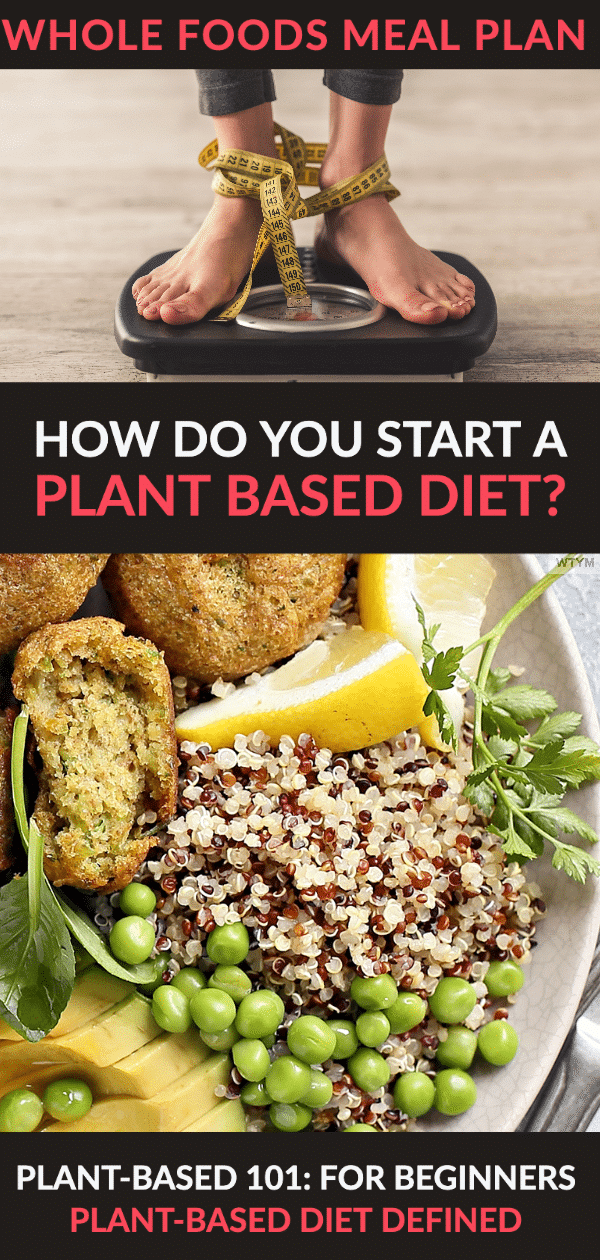 Plant Based Diet Beginners