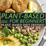 Plant Based Diet Beginners