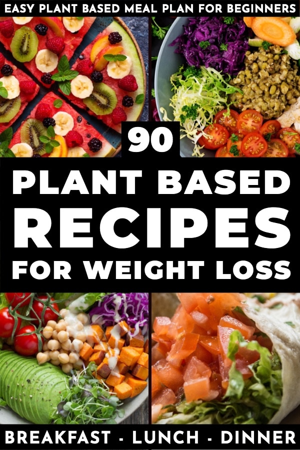 Plant Based Diet Meal Plan For Beginners 90 Plant Based Recipes 1778