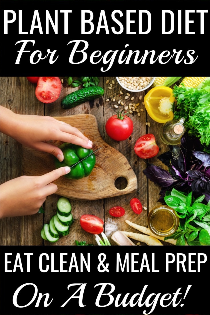 Plant Based Diet Meal Plan For Beginners: 90 Plant Based Recipes