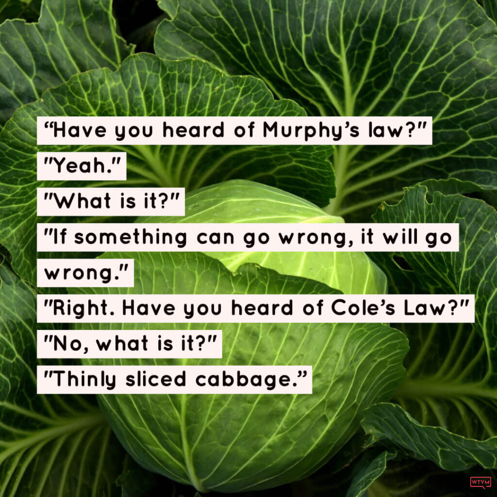 Memphis Style Keto Coleslaw Recipe - Cole’s Law - Funny coleslaw joke & easy low carb coleslaw recipe
