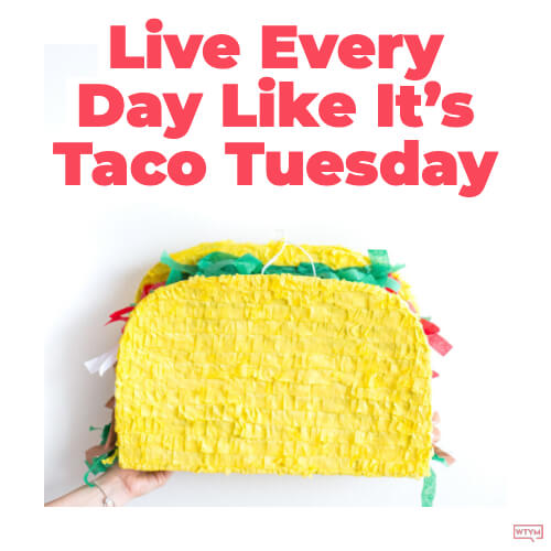 Live Every Day Like It's Taco Tuesday Word To Your Mother Blog
