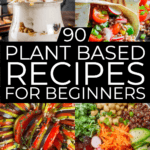 Plant Based Diet Meal Plan for Beginners. If you’re looking for tips on how to start a Plant-Based Diet to lose weight or eat healthier then check out this beginner’s guide to the Plant-Based Diet! You’ll find grocery lists and 90 simple clean eating recipes for breakfast, lunch, and dinner! With meal planning tips for healthy eating on a budget & a list of sources of protein, you’ll have everything you need to reach your weight loss & nutrition goals! #plantbased #vegan #healthy #cleaneating