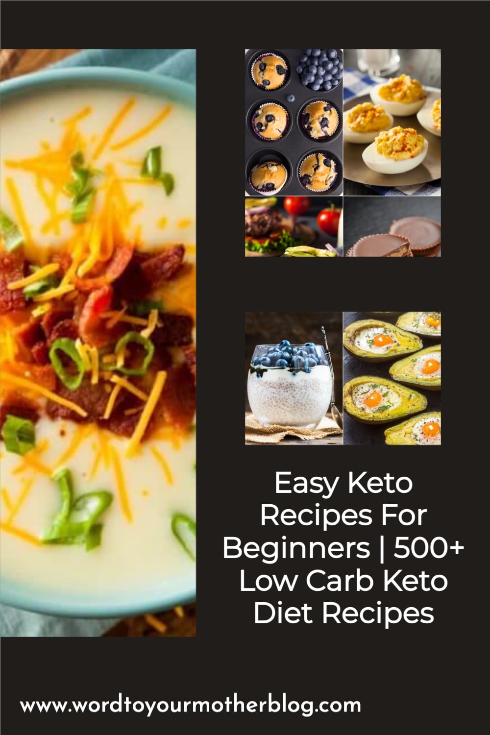 Easy Keto Recipes For Beginners | 500+ Low Carb Keto Diet Recipes