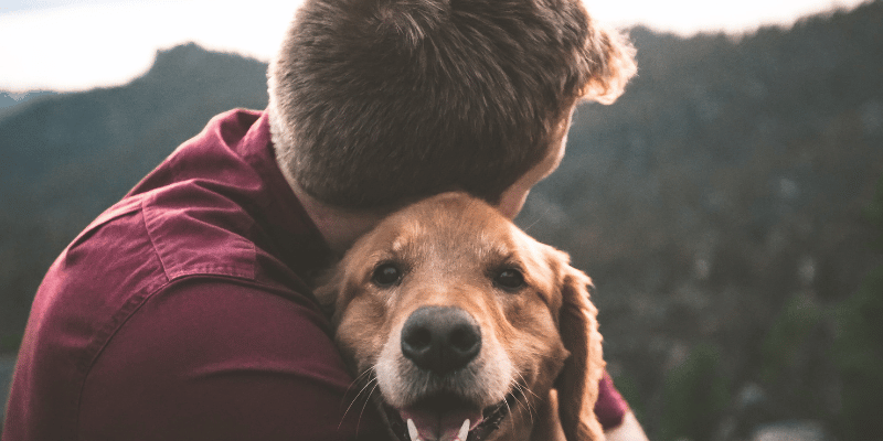 12 Ways Therapy Dogs Can Help Kids With Autism