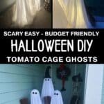 tomato cage DIY