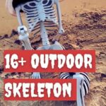 outdoor skeleton displays