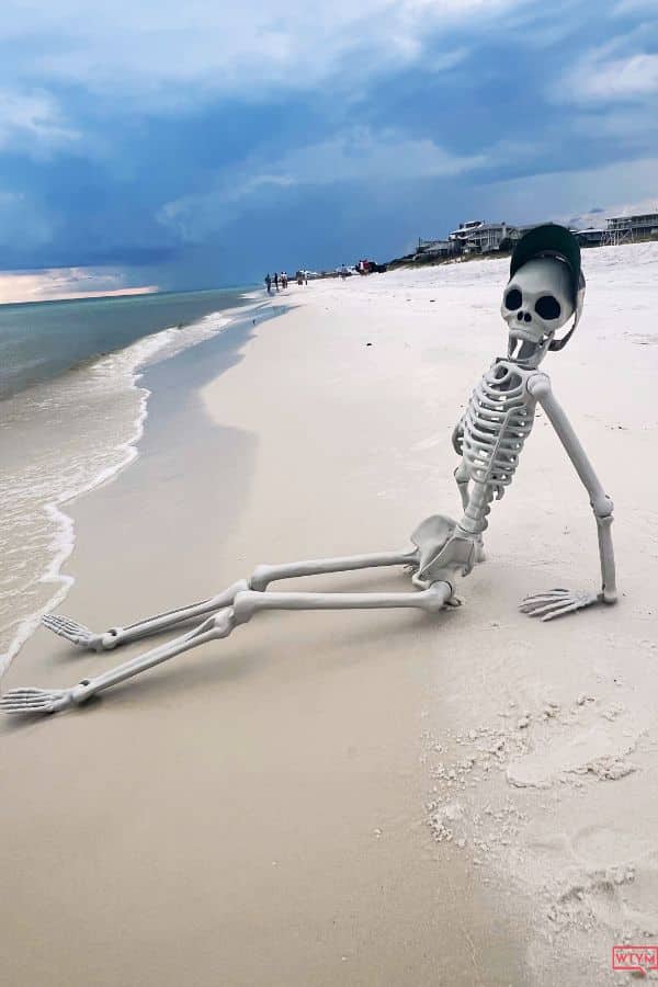 outdoor skeleton displays Blue Mountain Beach 