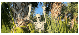 outdoor skeleton display ideas