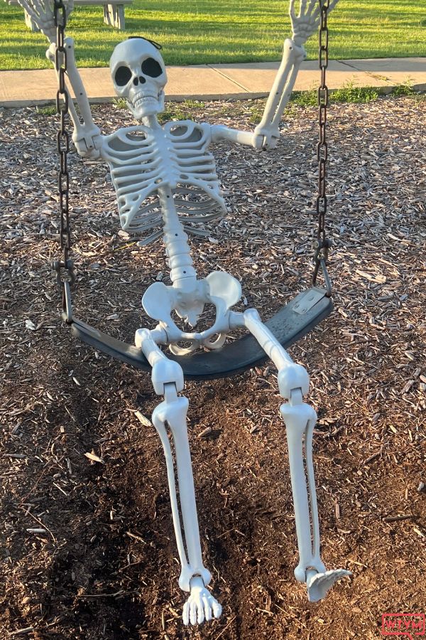 outdoor skeleton displays 