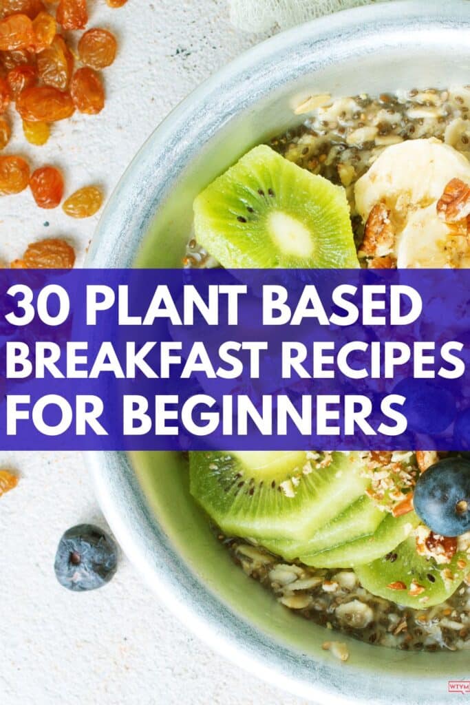 plant based diet meal plan 
