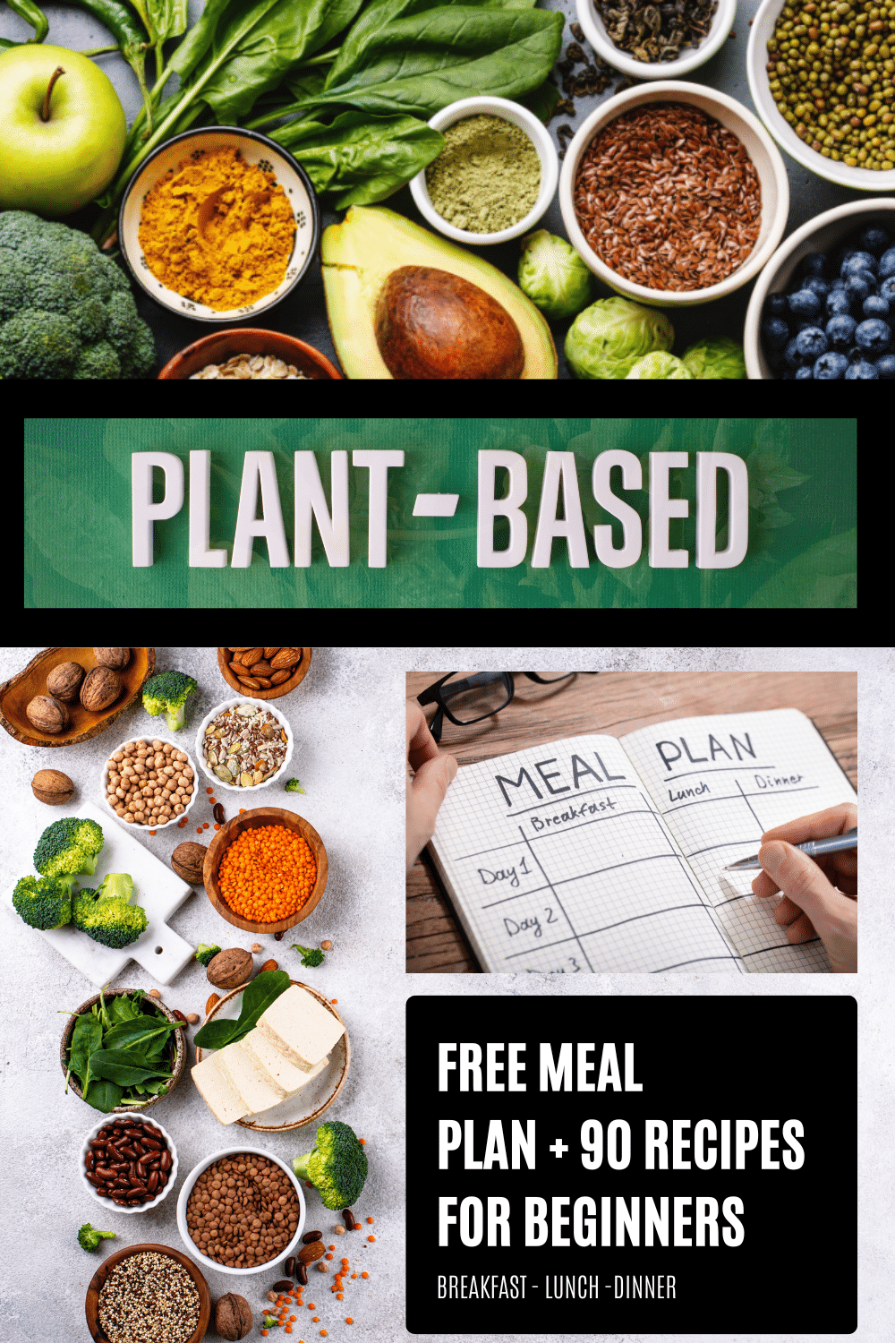 Plant Based Diet Meal Plan For Beginners: 90 Plant Based Recipes