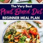 plant based diet for beginners