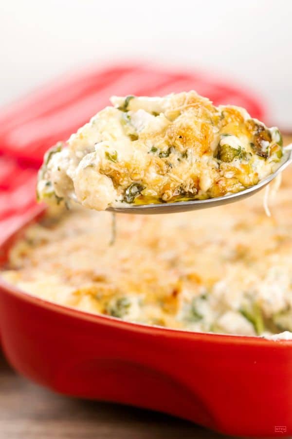 keto chicken Alfredo casserole 