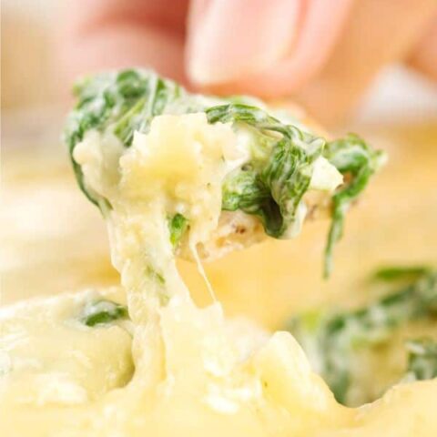 You Spin Me Right Round Spinach Dip